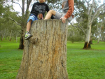 Morialta 8
